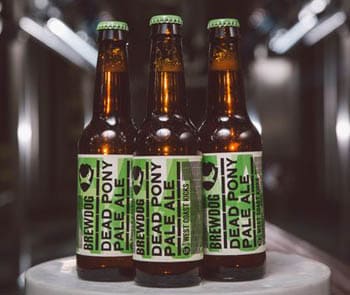 Brewdog Dead Pony Club en Bodecall