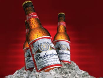 Budweiser en Bodecall