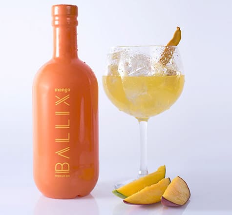 Gin Ballix en Bodecall