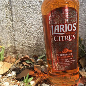 Gin Larios Citrus en Bodecall