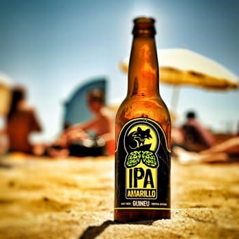 Guineu IPA Amarillo en Bodecall