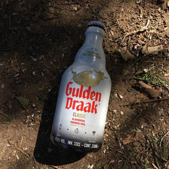 Gulden Draak en Bodecall