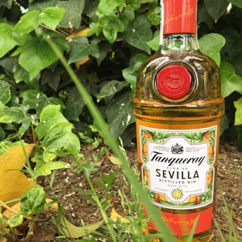 Tanqueray Flor de Sevilla en Bodecall